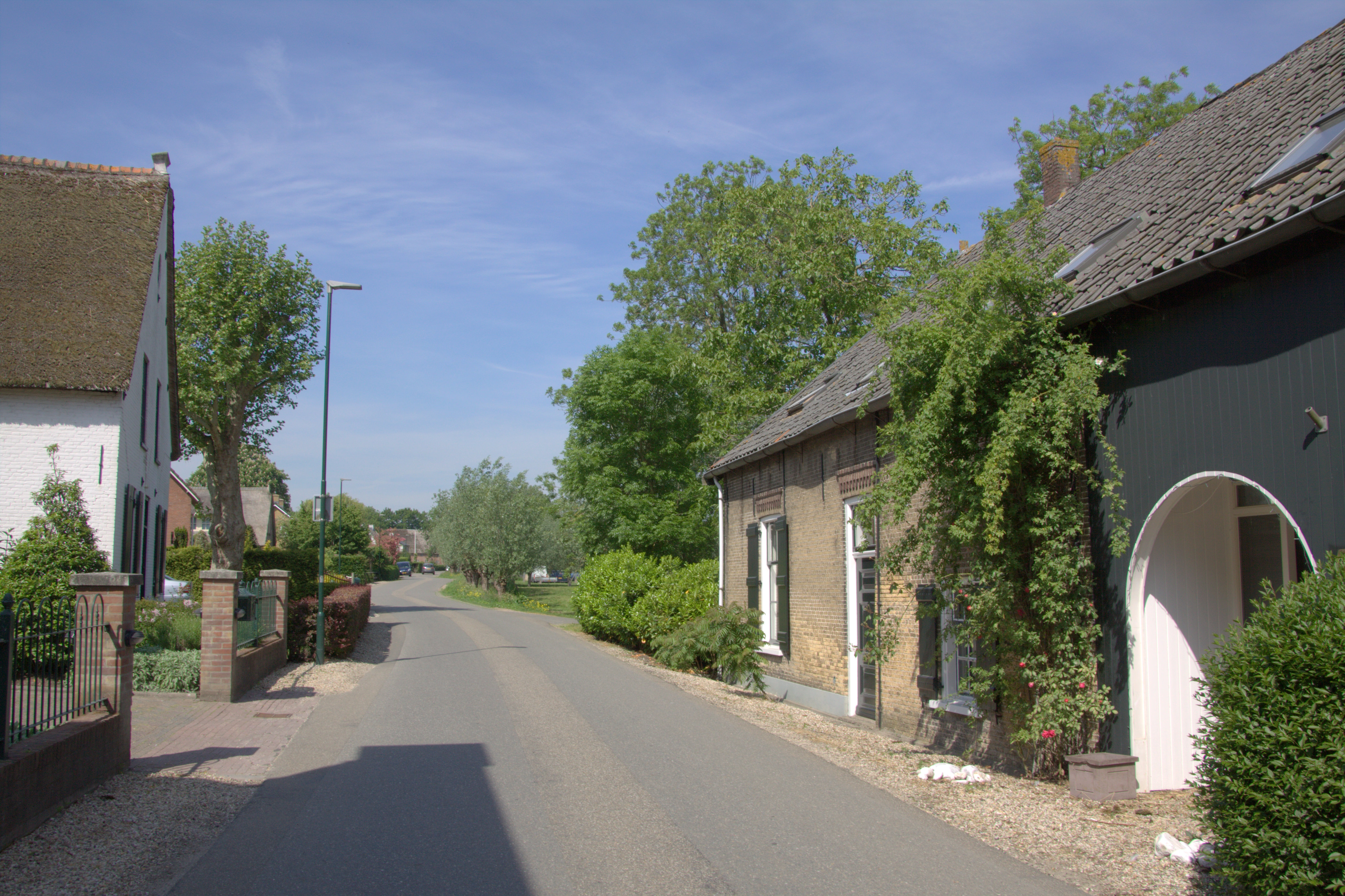 Webshop specialist Giessenburg - e-commerce oplossingen Molenlanden