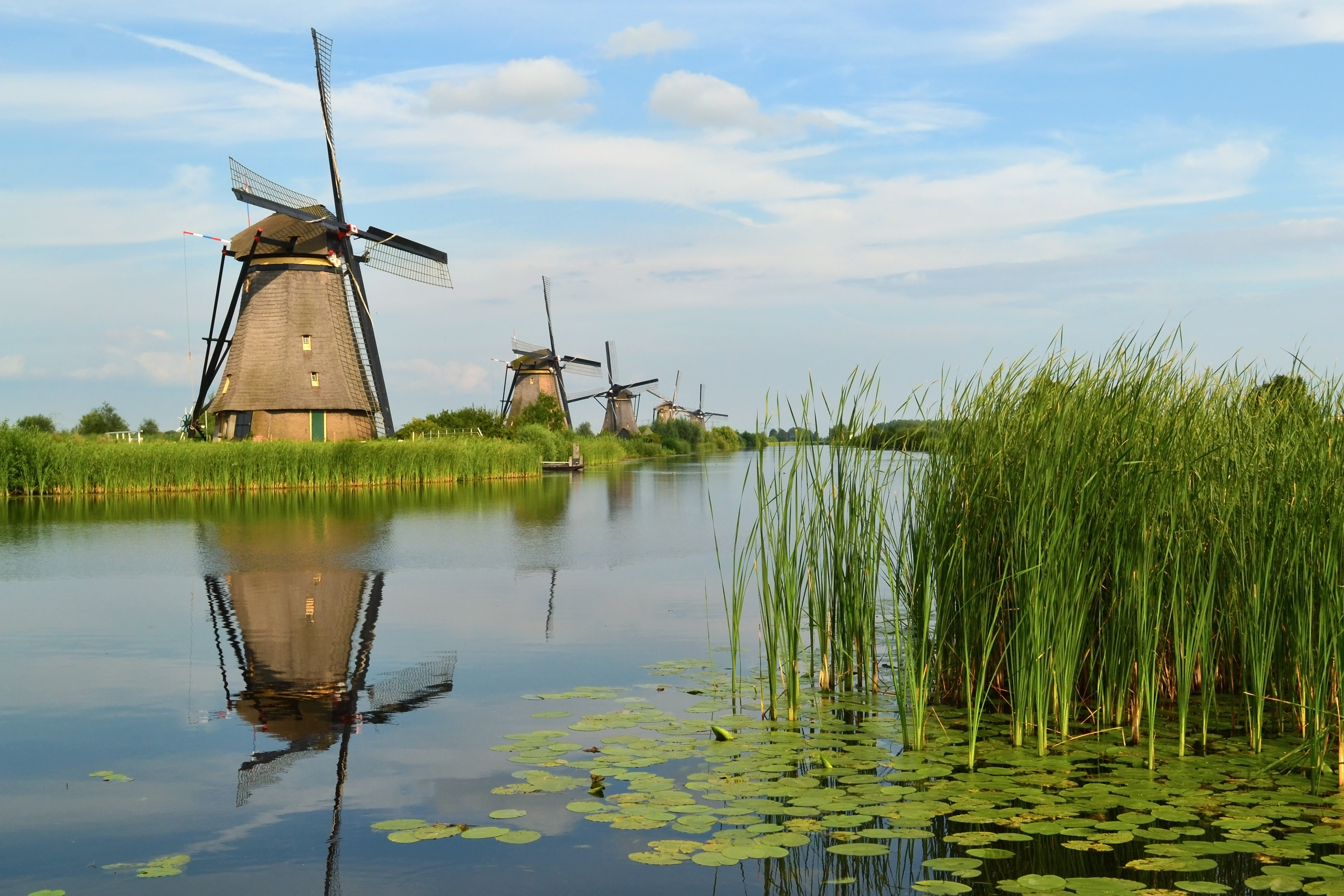 Webshop specialist Kinderdijk - e-commerce oplossingen Molenlanden